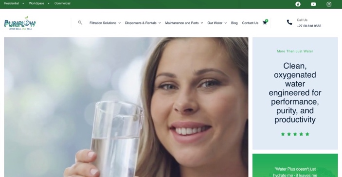 Puriflow e-commerce store and AI chatbot